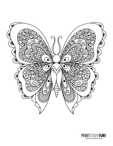 Fancy circles on a butterfly coloring page - PrintColorFun com