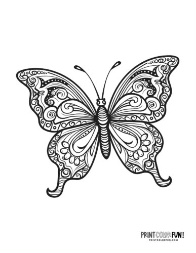 Fancy decorative butterfly coloring page - PrintColorFun com