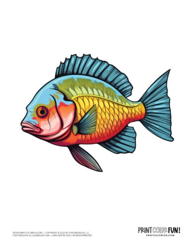 Fish color clipart graphic from PrintColorFun com (2)