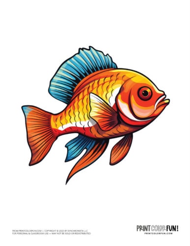Fish color clipart graphic from PrintColorFun com (6)