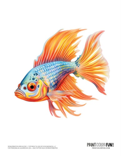 Fish color clipart illustration from PrintColorFun com (1)