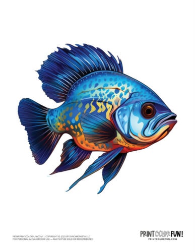 Fish color clipart illustration from PrintColorFun com (2)