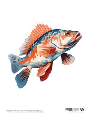 Fish color clipart illustration from PrintColorFun com (3)