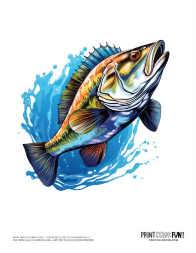 Fish color clipart illustration from PrintColorFun com (6)