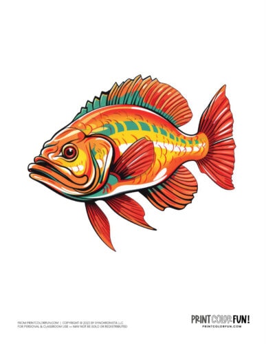 Fish color clipart illustration from PrintColorFun com (8)