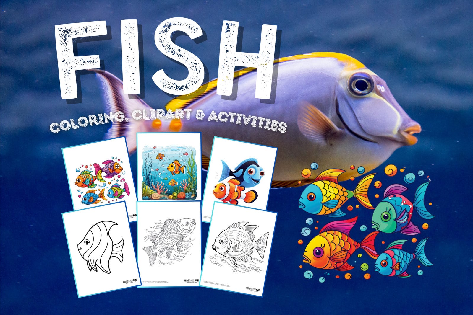 Fish coloring pages and color clipart at PrintColorFun com