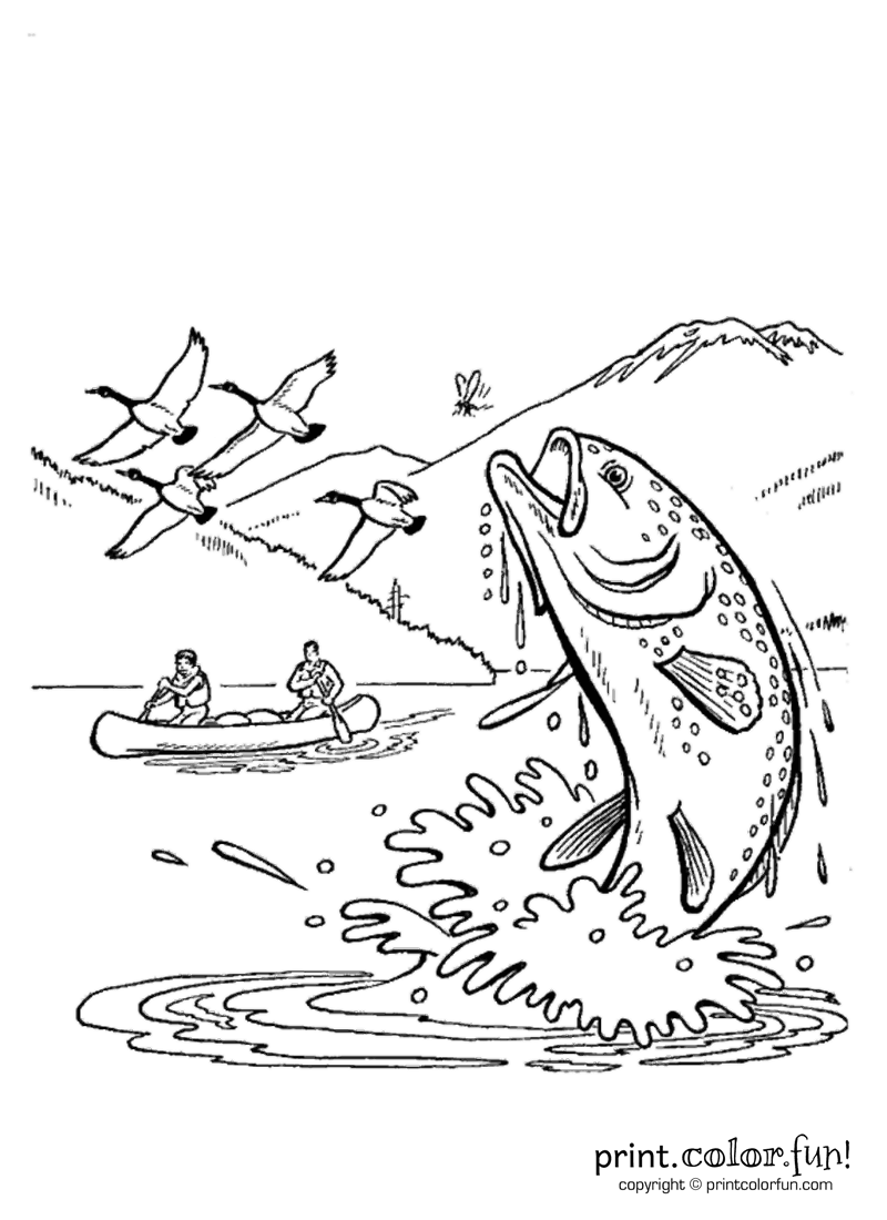 Fun and fish in Alaska coloring page  Print. Color. Fun!