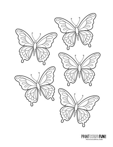 Five butterflies coloring page - PrintColorFun com
