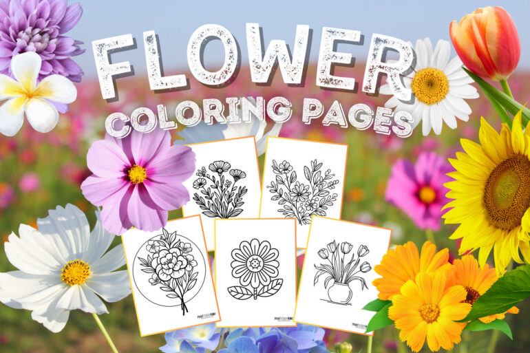 Flower coloring pages and clipart from PrintColorFun com