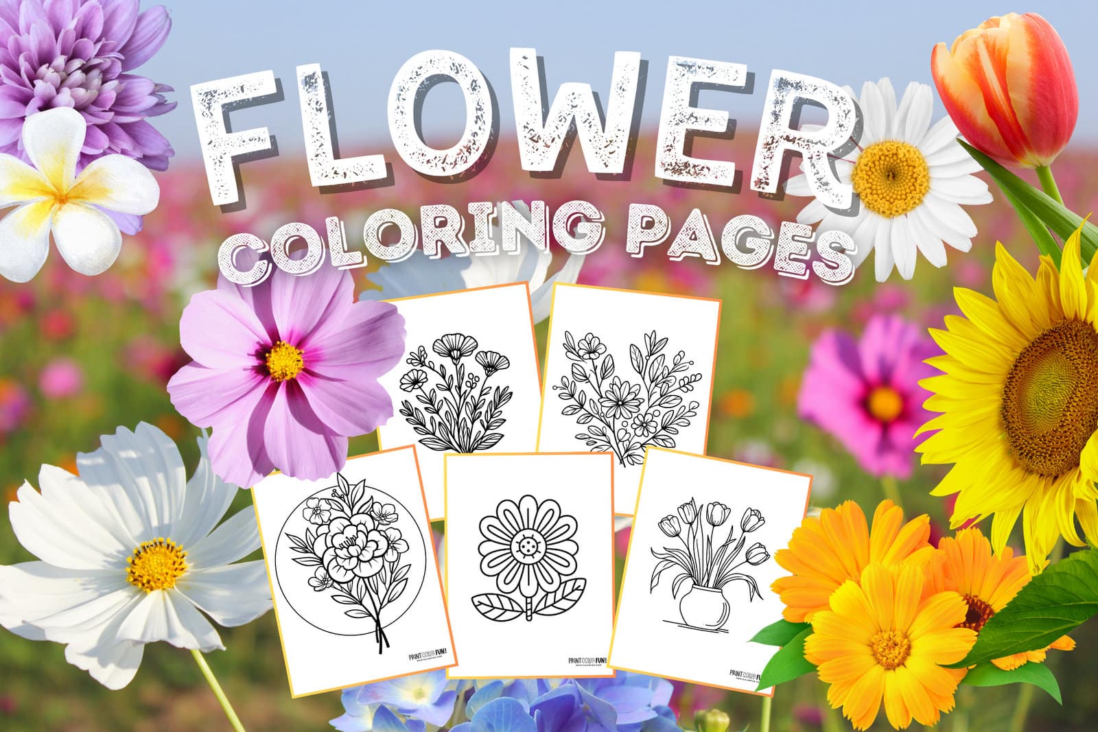 50 flower coloring pages & clipart to color a whole garden, at