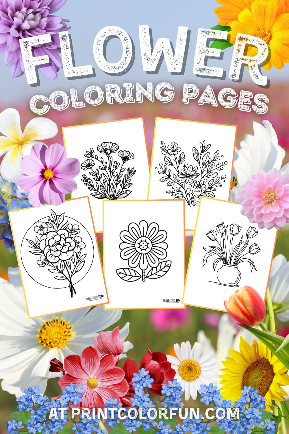 Flower coloring pages and floral clipart from PrintColorFun com