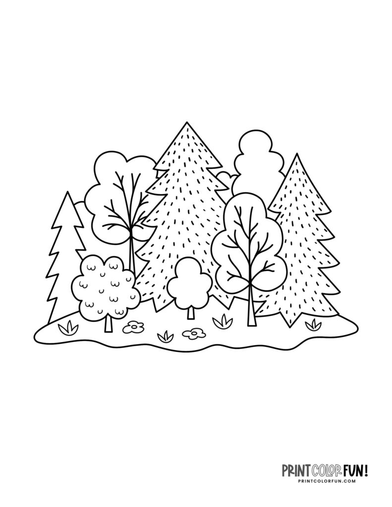 15 Forest clipart & coloring pages: Learning fun with mountains, trees ...