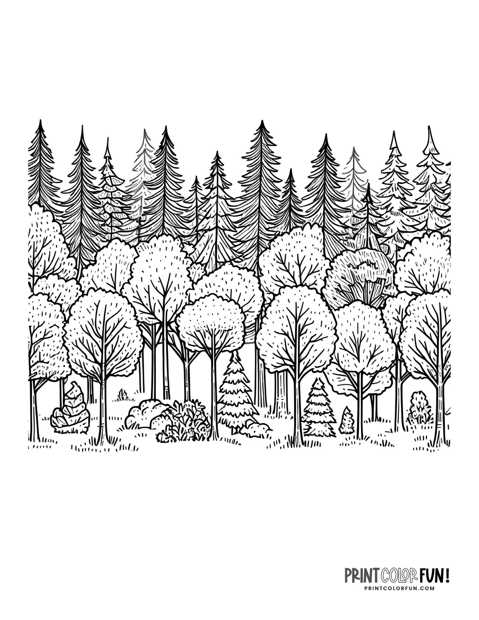 15 Forest Clipart & Coloring Pages: Learning Fun With Mountains, Trees 