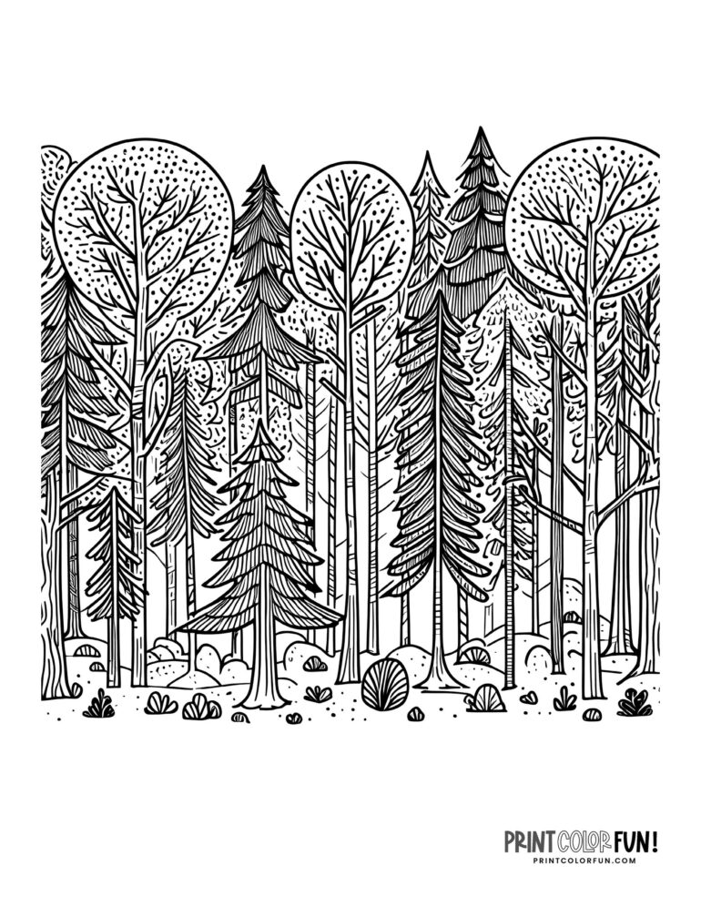 15 Forest clipart & coloring pages: Learning fun with mountains, trees ...