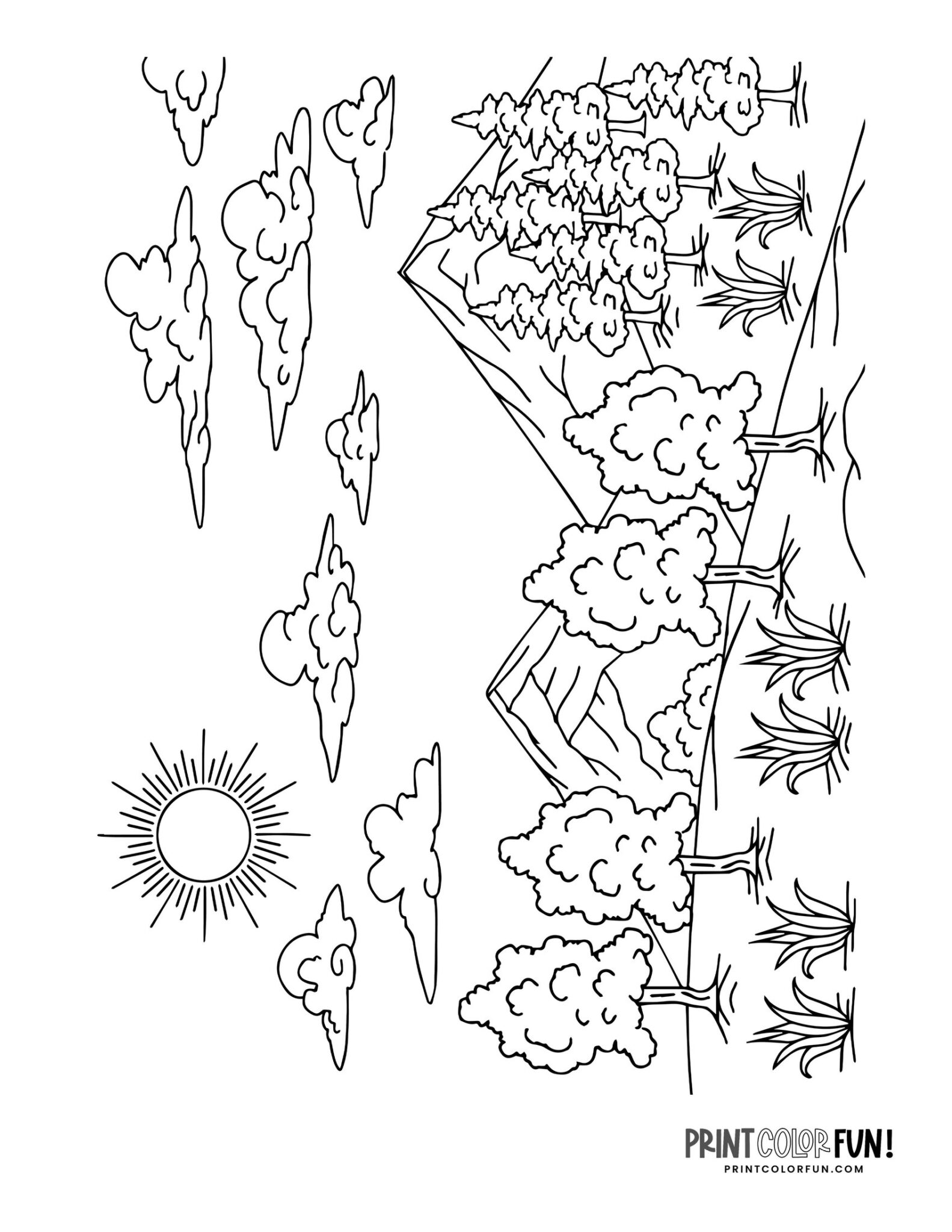 15 Forest clipart & coloring pages: Learning fun with mountains, trees ...