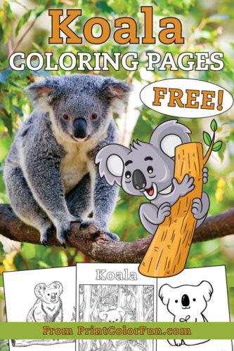 21 free cute Koala coloring pages & koala clipart printables, at ...