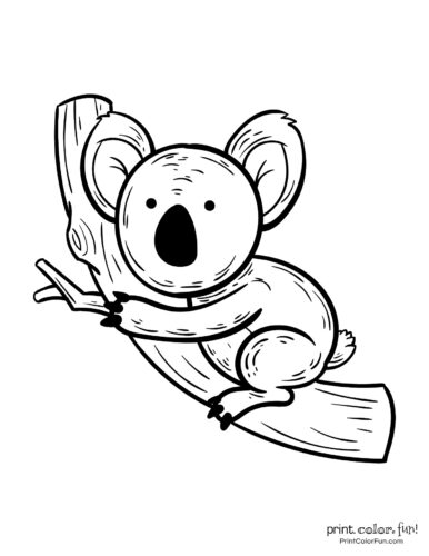 10 Free Cute Koala Coloring Pages Print Color Fun