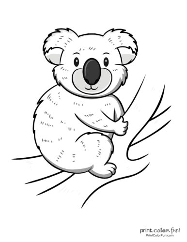 Free cute koala coloring pages (10)