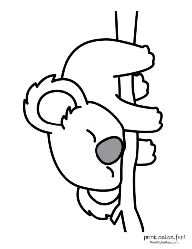 Free cute koala coloring pages (7)