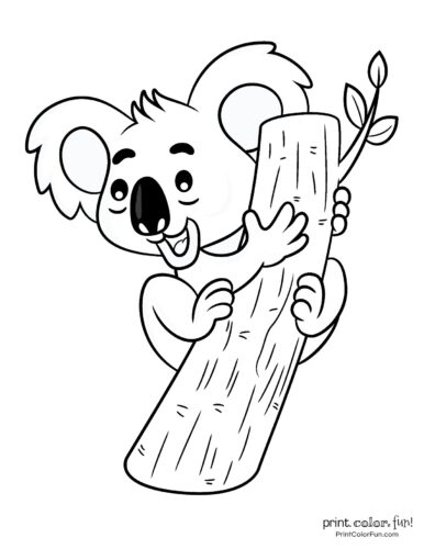 realistic koala bear coloring pages