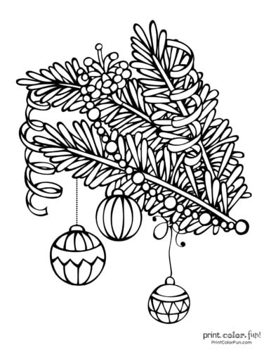 spruce tree coloring page