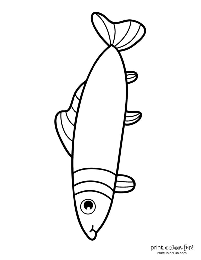 Top 100 fish coloring pages: Cute free printables, at PrintColorFun.com