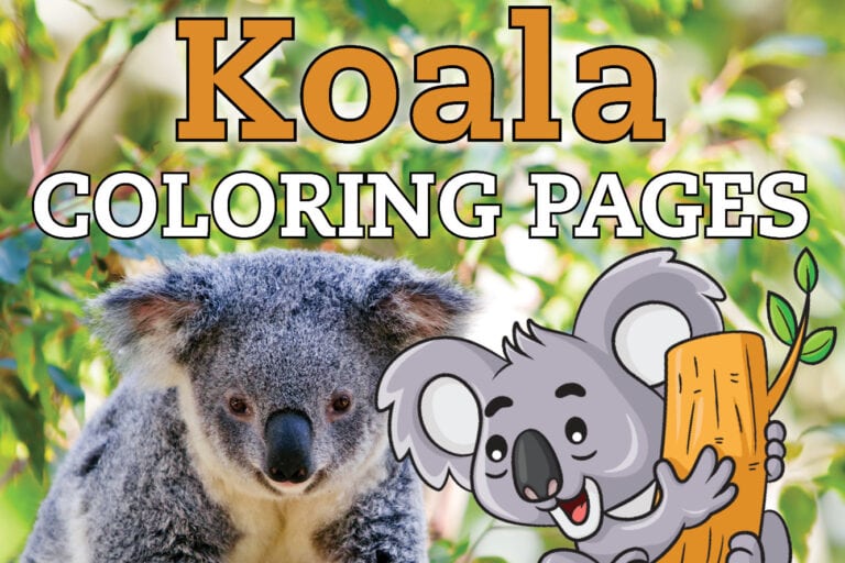 Get free cute Koala coloring pages
