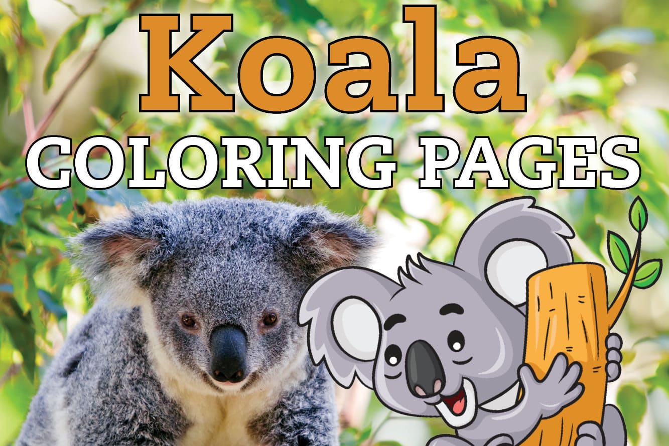 koloa bear coloring pages