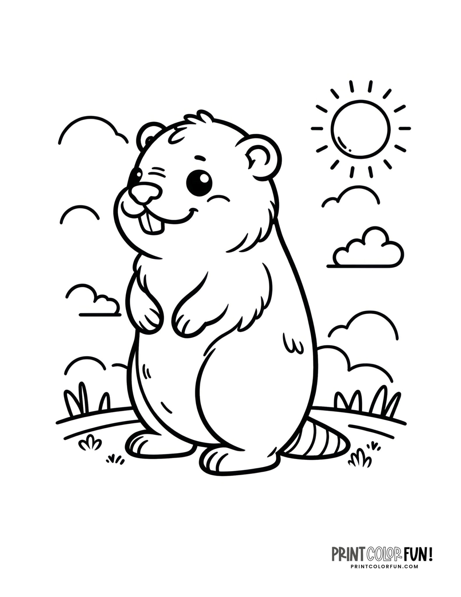 Woodchuck & groundhog coloring pages, at PrintColorFun.com