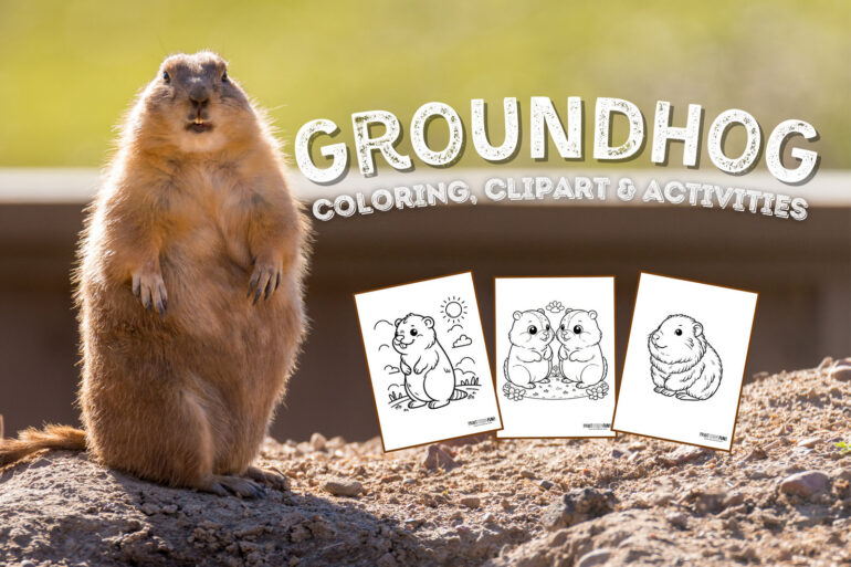 Groundhog woodchuck coloring page clipart activities from PrintColorFun com