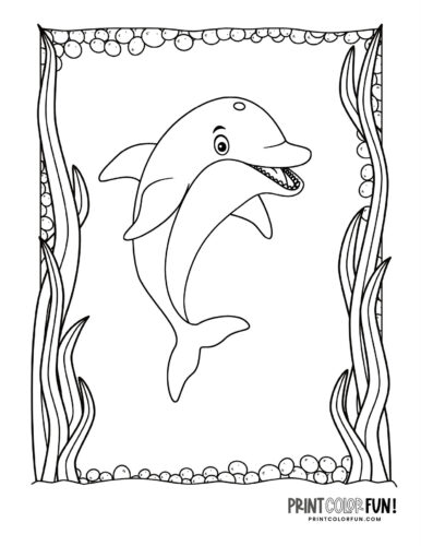 Happy dolphin coloring book printable
