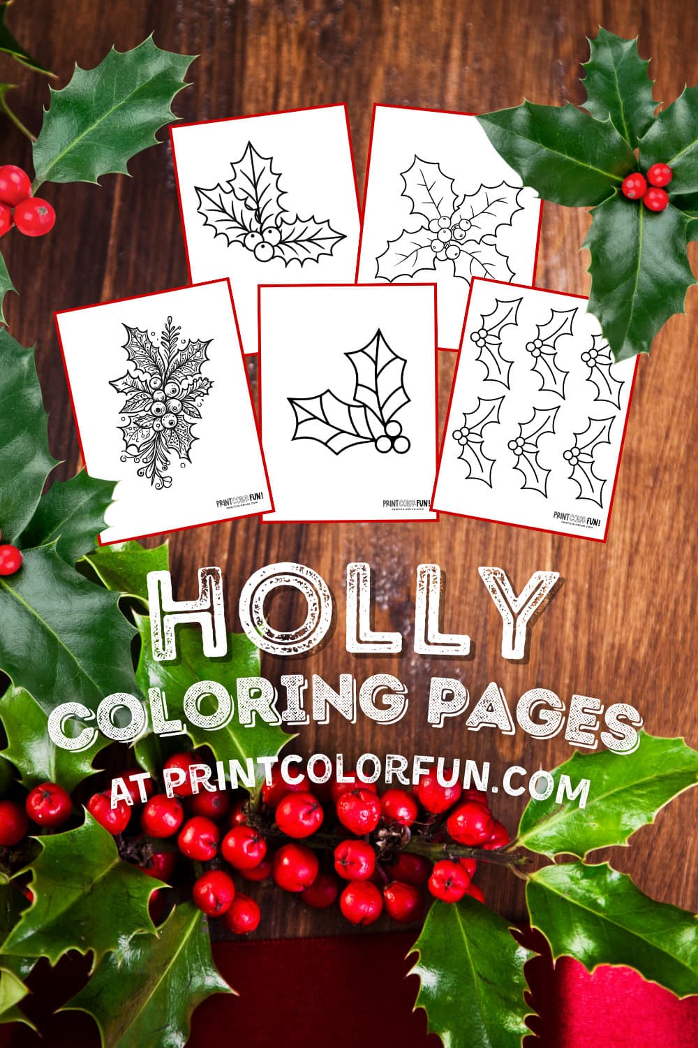 Holly Christmas coloring pages and clipart - PrintColorFun com