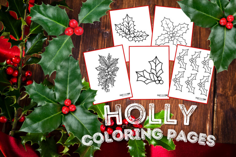 Holly clipart and coloring pages for festive Christmas crafting fun