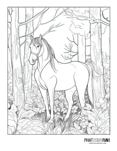 Horse in the forest (2) coloring page at PrintColorFun com