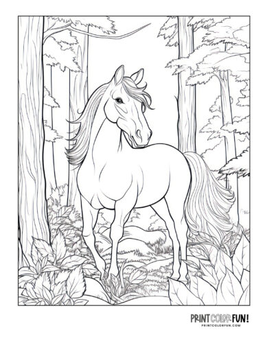 Horse in the forest (3) coloring page at PrintColorFun com