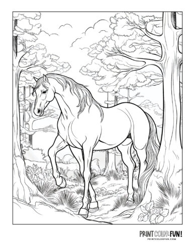 Horse in the forest (5) coloring page at PrintColorFun com