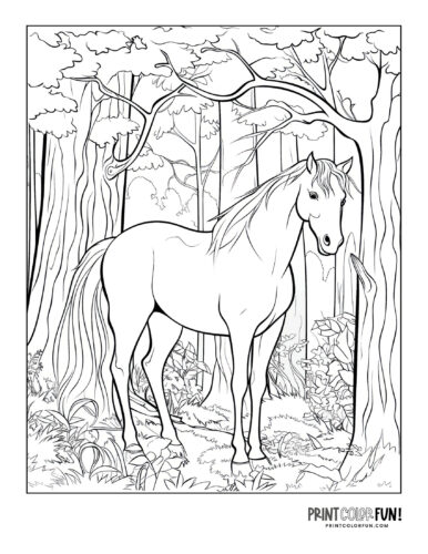 Horse in the forest (6) coloring page at PrintColorFun com