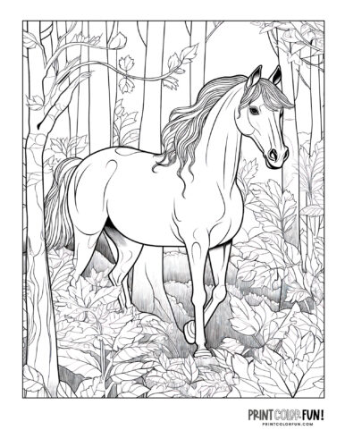 Horse in the forest (7) coloring page at PrintColorFun com