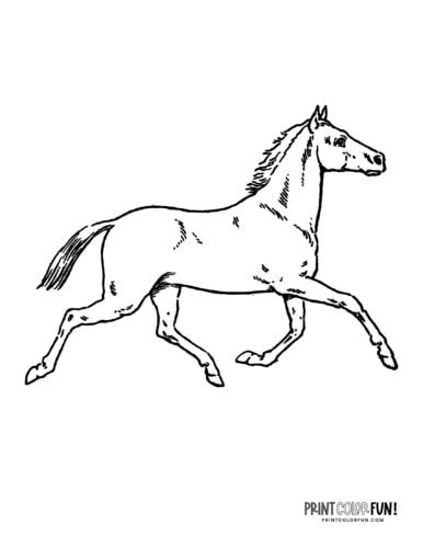 Horse line art (4) coloring page at PrintColorFun com