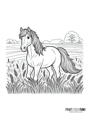 Horse running in a field coloring page at PrintColorFun com