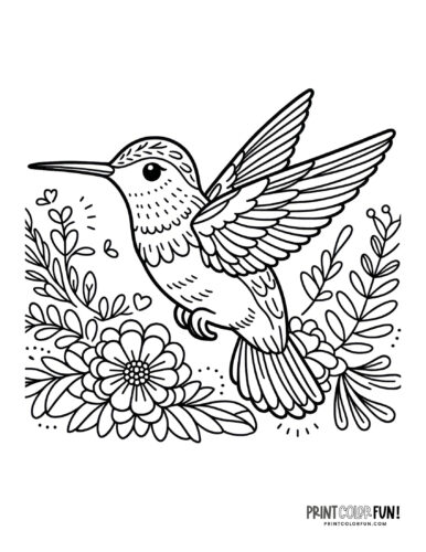 Hummingbird coloring page at PrintColorFun com 03