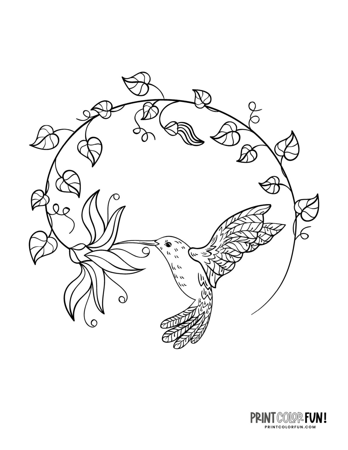 15+ hummingbird clipart and coloring pages, plus fun craft ideas ...