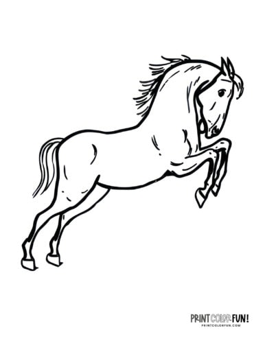 Jumping horse coloring page at PrintColorFun com