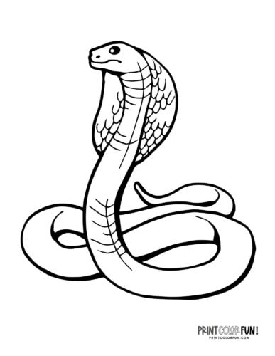 King cobra snake coloring page clipart from PrintColorFun com