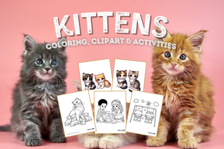 Kitten coloring page clipart activities from PrintColorFun com