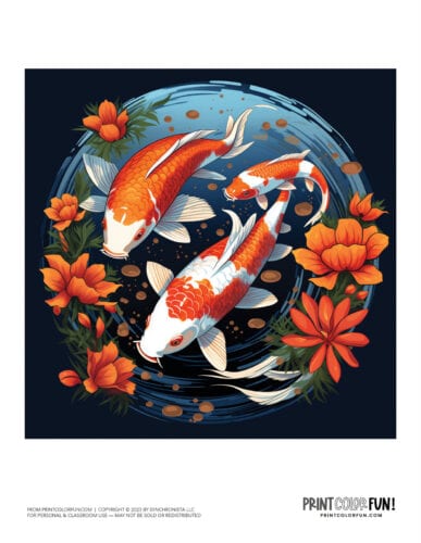 Koi fish - goldfish color clipart from PrintColorFun com (4)