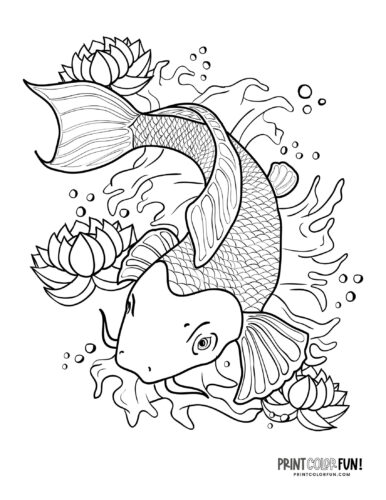Koi fish - goldfish coloring page from PrintColorFun com (1)