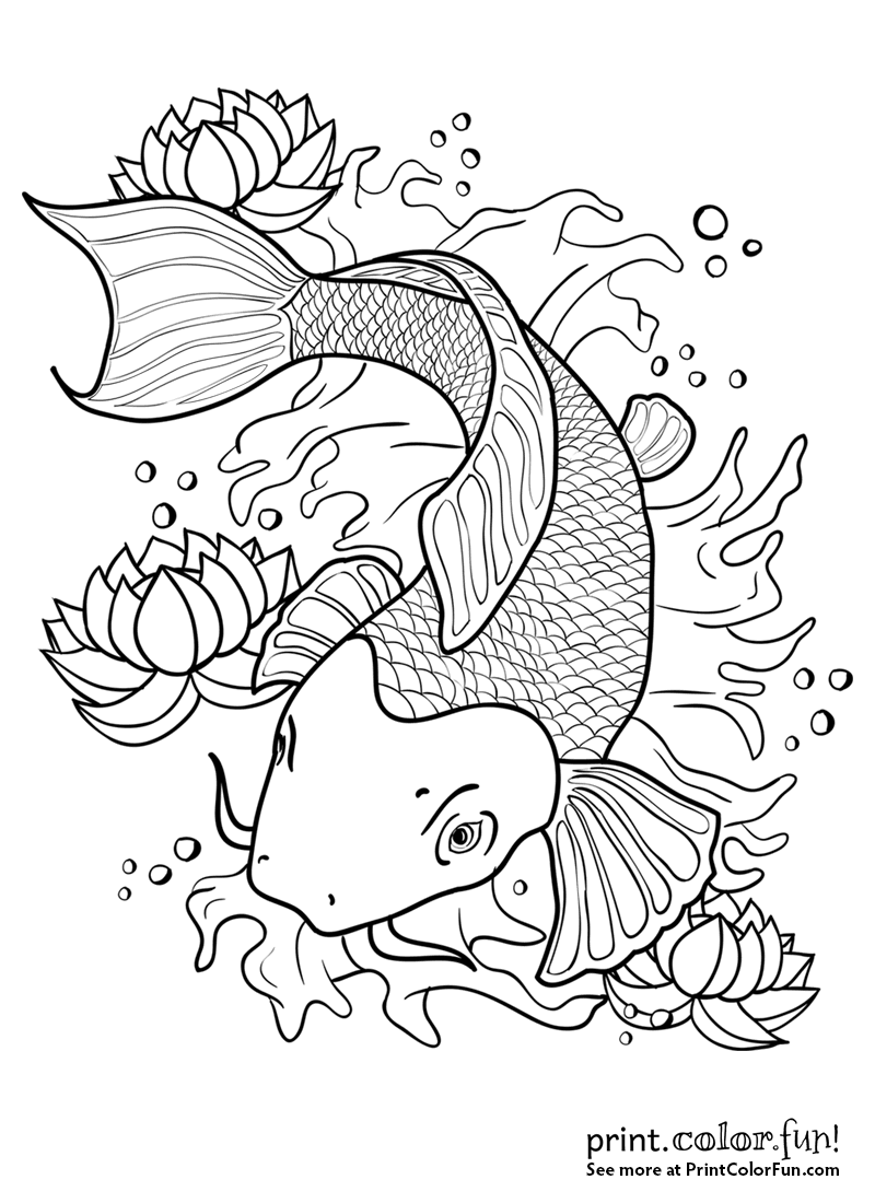 Fish Coloring Pages Koi   Koi Fish In A Pond 