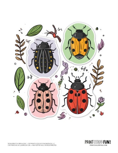 Ladybug and beetle cute clipart image from PrintColorFun com