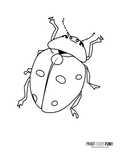 Ladybug drawing clipart from PrintColorFun com (1)